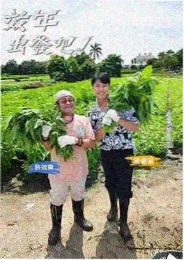青苹果影视家庭纪实综艺一桌好饭